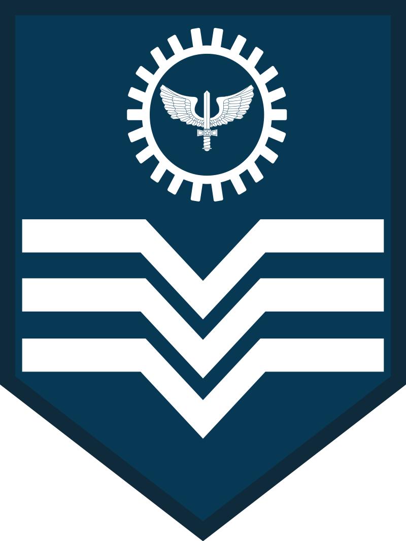 巴西军衔图片,各国军衔标识俄罗斯