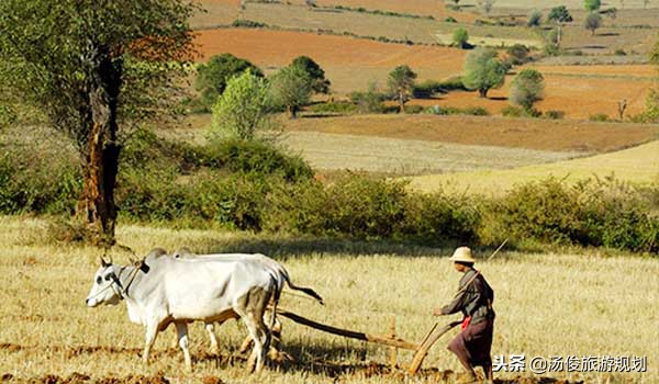 农村土地无人耕种视频,土地无人耕种怎么处理