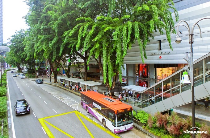 新加坡景点排行榜前十名,新加坡旅游攻略必玩的景点