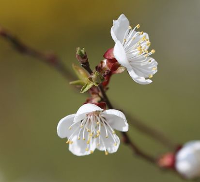 健康=长寿?保健专家却说……
