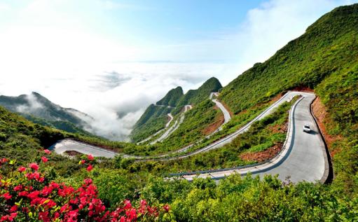 川河盖上的“映山红”开了“周末”来一场花的“艳”遇