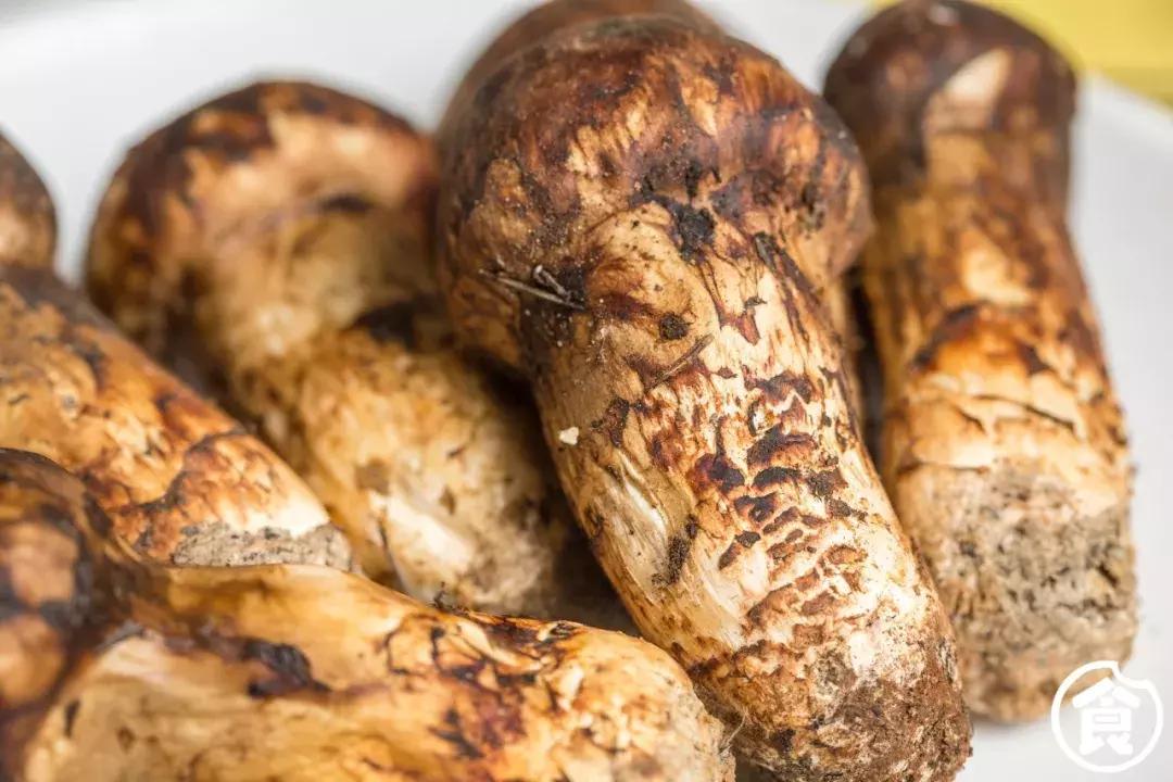 桥东爆出一锅「豪华花胶鸡」排队也要吃！还藏着一个海鲜市集