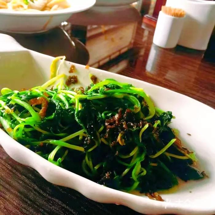 你吃过这天然的菌藻类组合物吗？含有瘦身必需的蛋白质和维生素