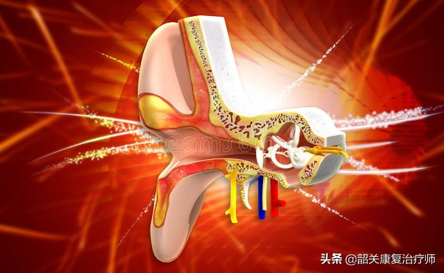 前庭神经功能紊乱的症状,前庭神经系统功能失调