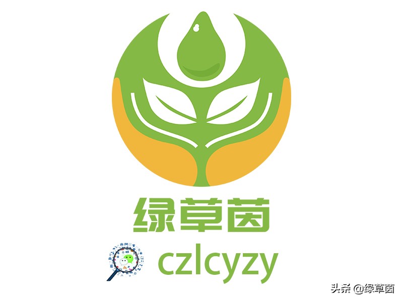 北方适合什么草坪种子带土,适合北方种植的草坪品种