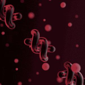 高档防菌筷子,筷子最新款防发霉