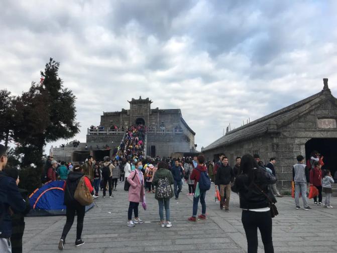 毛尖云雾绿茶哪款好喝,你们喝过最好喝的茶