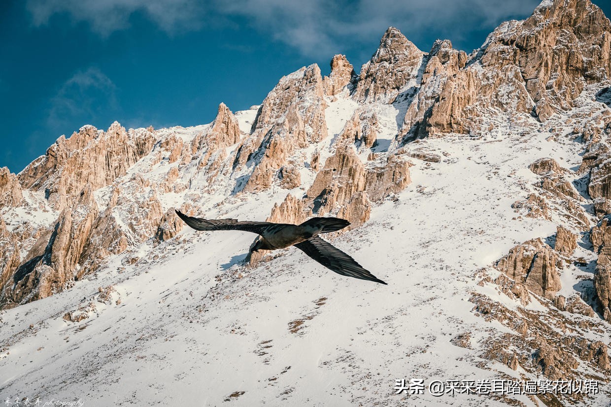 独库公路开放后游玩攻略,独库公路开放前旅游攻略