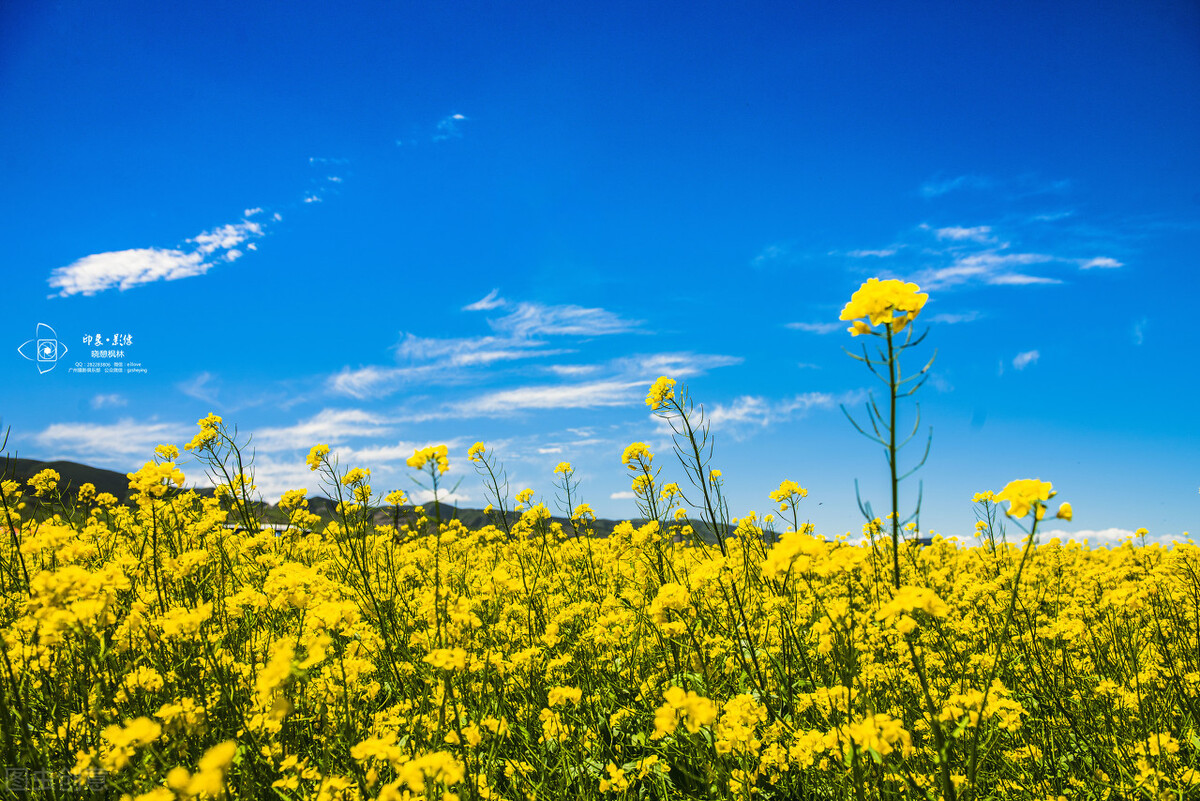 每周服一次的降血糖药,每月一次的降糖药