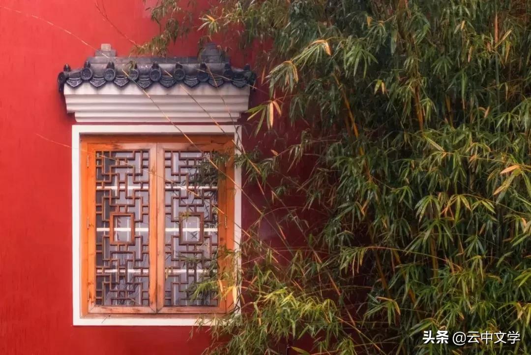 255个夸人的成语背完夸人不重样,夸人厉害的四字成语顺口溜