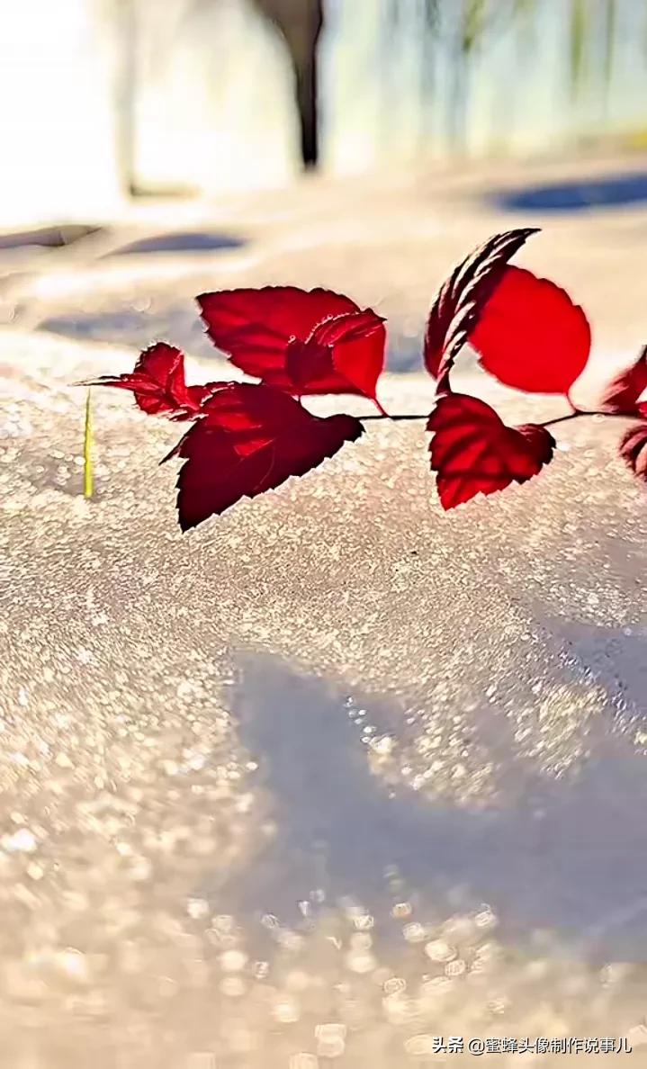 清新养眼青山绿水风景桌面壁纸,壁纸图片蓝天白云青山绿水