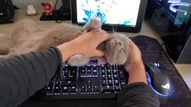 入手switch准备的配件推荐,switch配件年度使用总结与选购建议