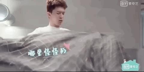 明星的现实生活是怎么样的,明星的生活与普通人有什么不一样