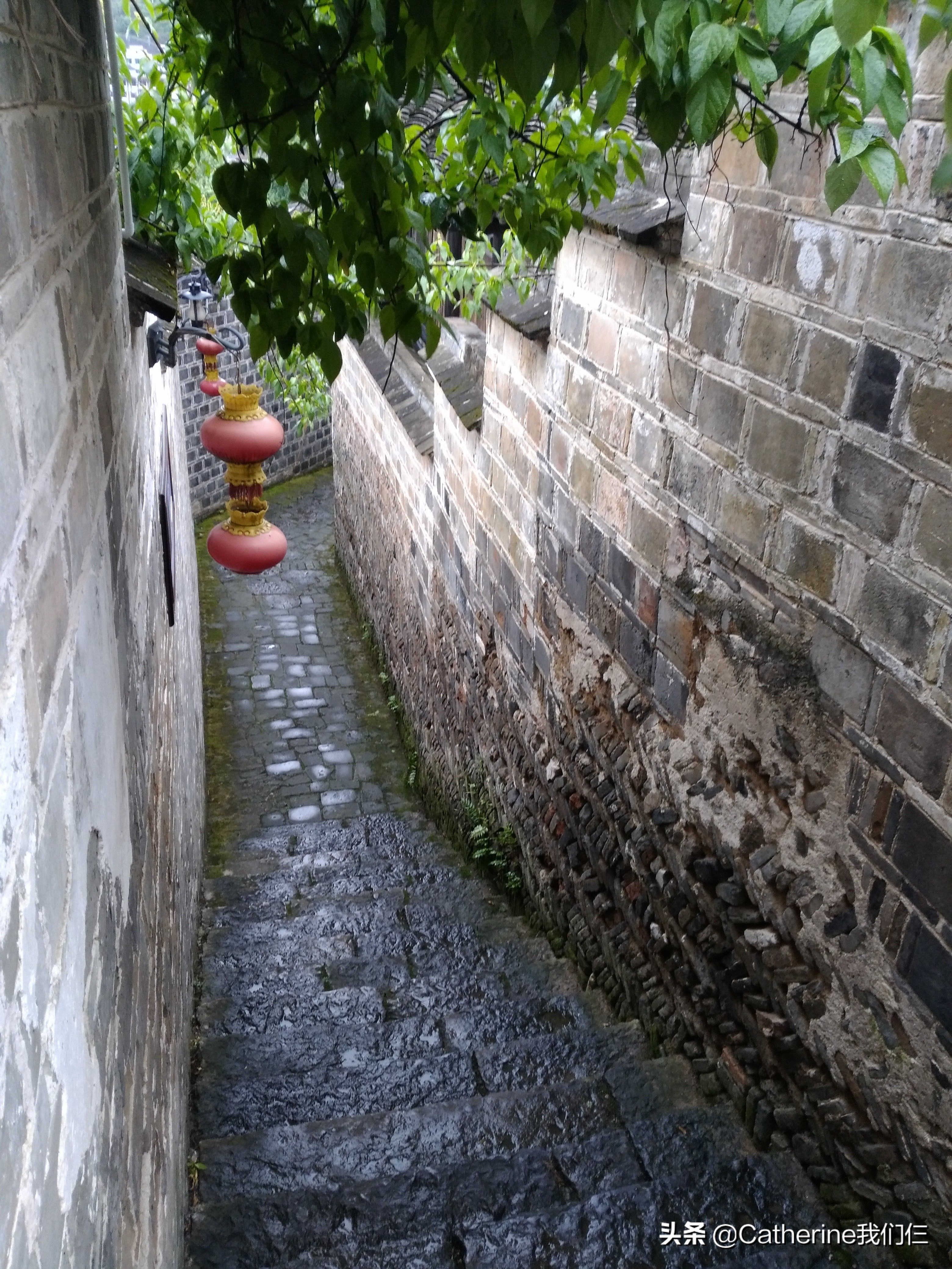 广州去张家界旅游攻略图片大全,张家界云南丽江旅游攻略