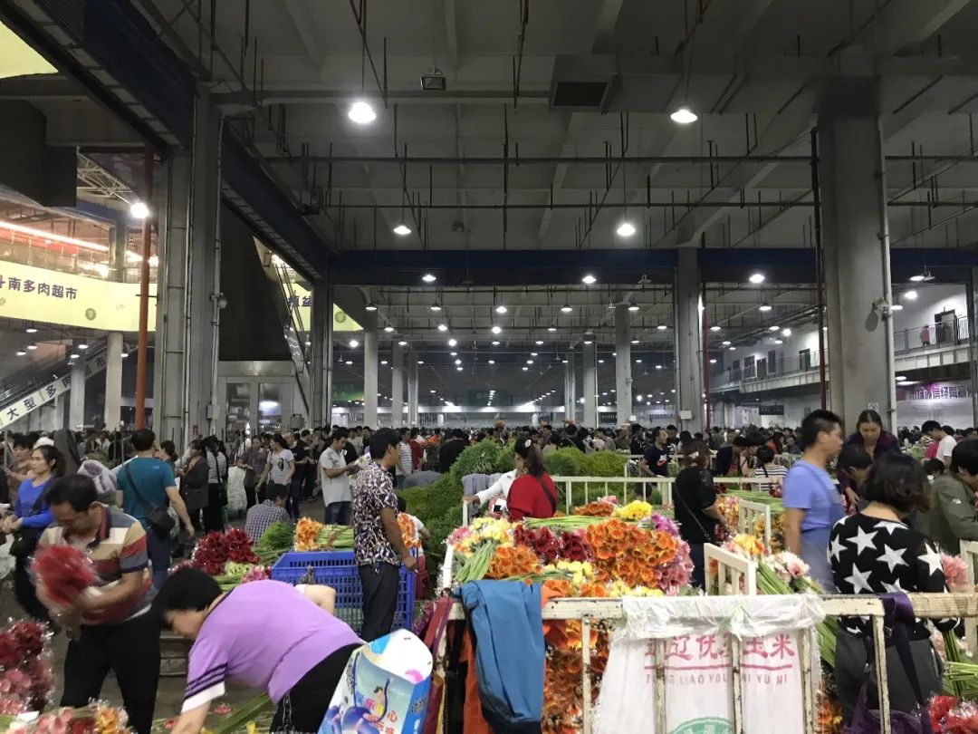 花店鲜花价格表大全,花店鲜花种类及价格表