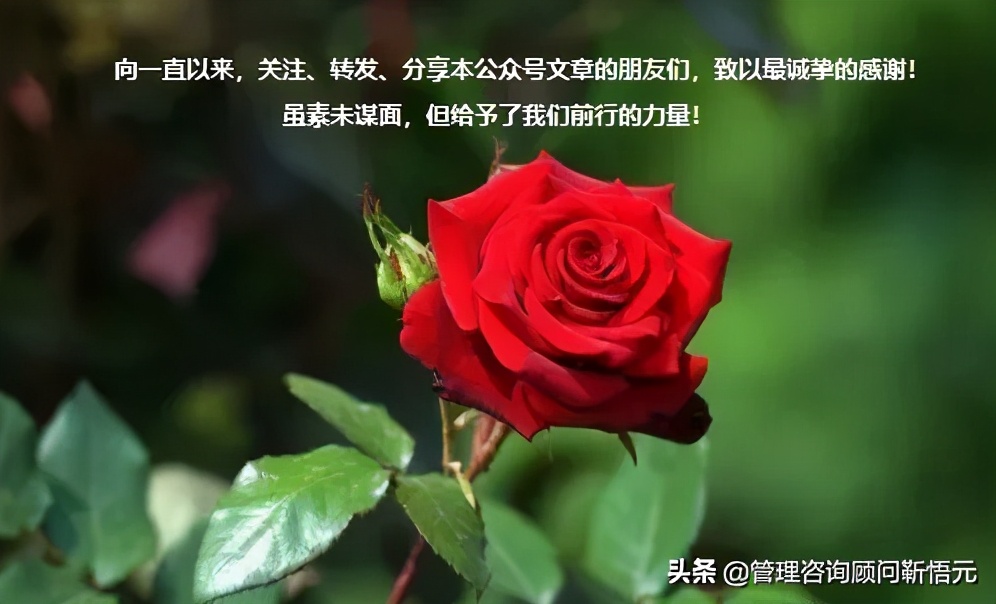 采购管理制度与程序文件,采购订单管理完整流程