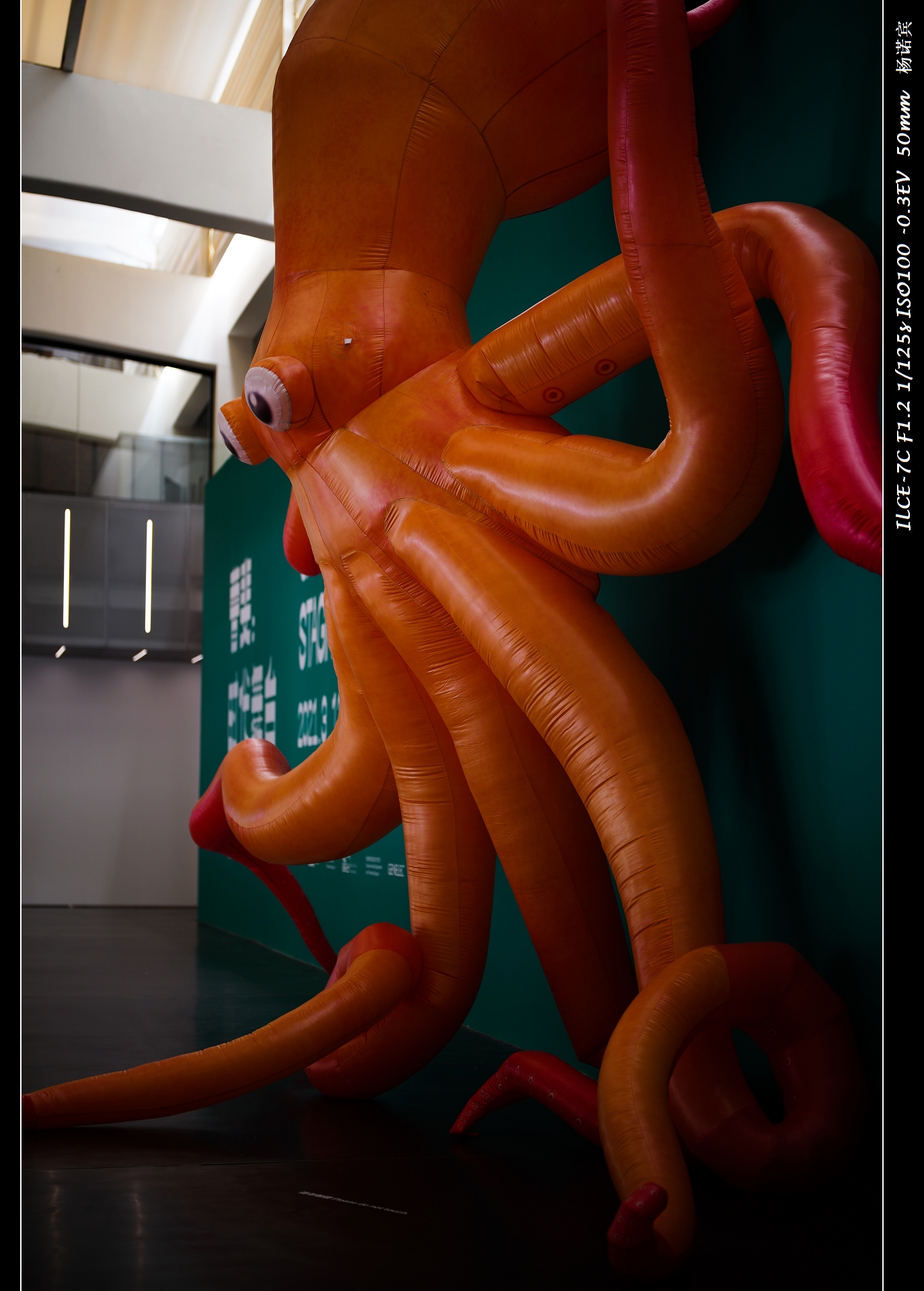 sonyfe50mmf1.8多重,sony50mm1.2