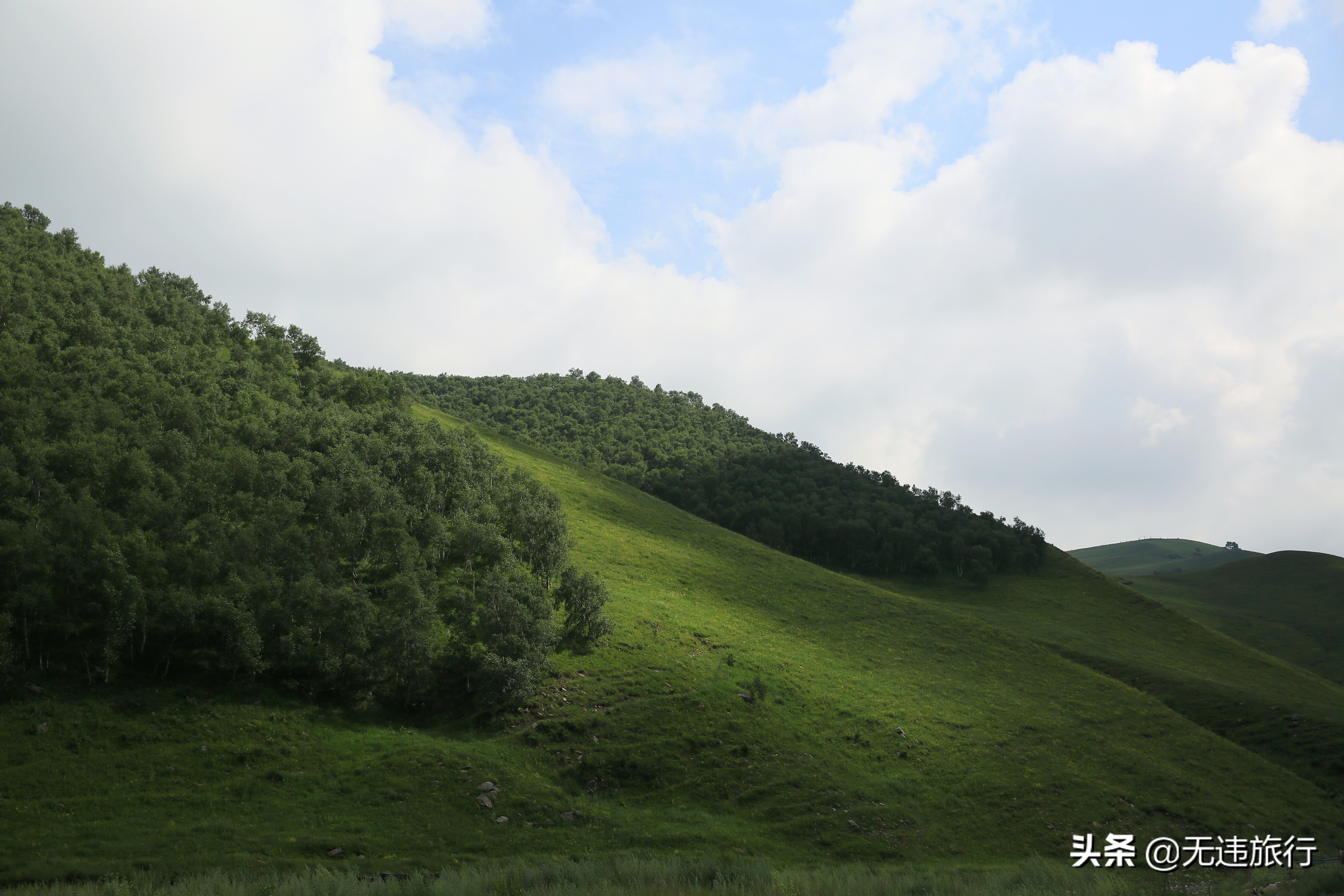 辉腾锡勒草原黄花沟游玩时长,辉腾锡勒草原黄花沟见闻