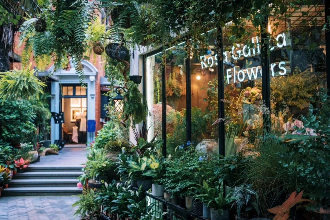 魔都最值得逛的马路,魔都网红马路视频