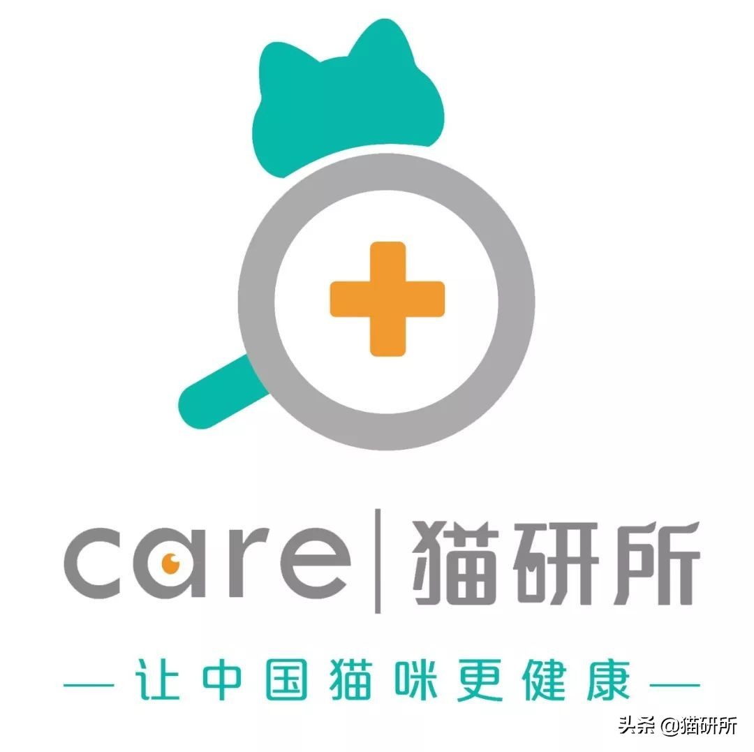 猫咪到底能不能喝矿泉水,猫咪喝自来水会结石吗