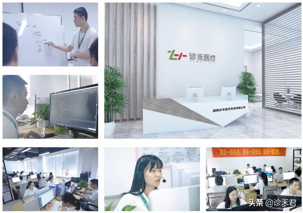 诊禾医疗公司有哪些,湖南诊禾医疗