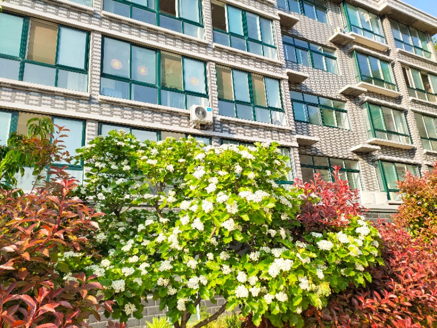 济南南部山区租个房子跟谁租,济南南部山区租一个别墅有吗