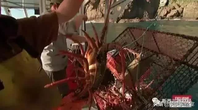 黑帮里面的钱和武器,黑帮用的东西是什么