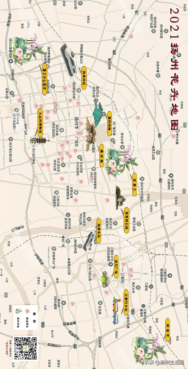 扬州盆栽花卉批发市场,扬州花木城花卉批发市场