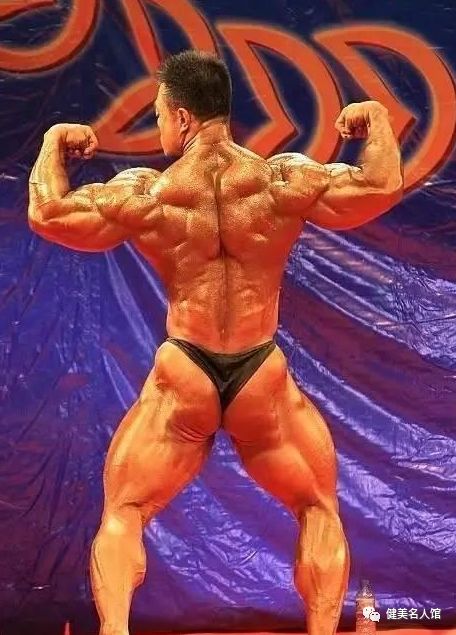 娌堝仴楣扮帇缁板彿鏉ュ巻,鍋ョ編楣扮帇娌堝仴鐜扮姸