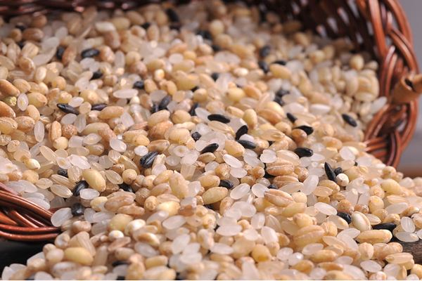 三字经全文注释完整版,三字经全文背诵