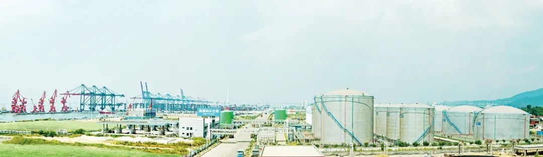 风云闽商|“福建石油帮”大佬郑金泉，巨轮也有“电影梦”