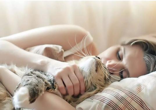 猫咪喜欢睡在你旁边说明什么,猫咪喜欢睡在主人身边什么意思
