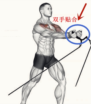 胸肌如何不下垂,胸肌上部不够怎么锻炼