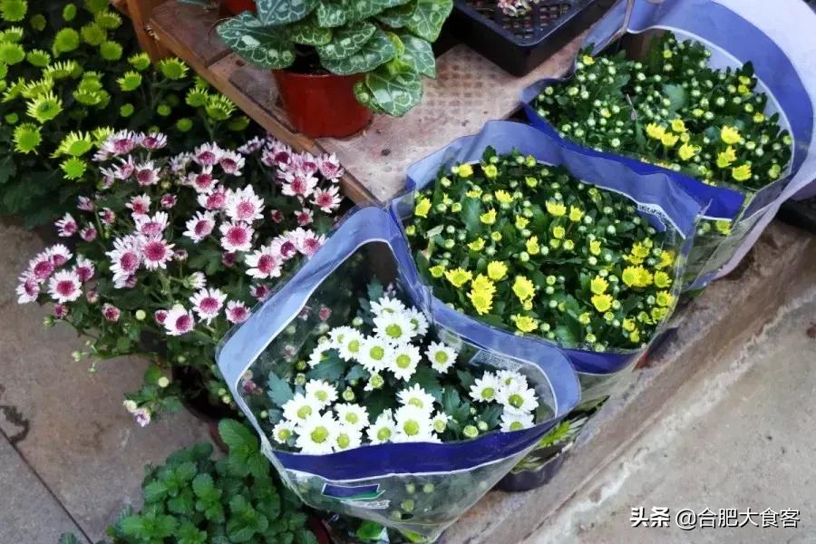 <html>
<head><title>502BadGateway</title></head>
<body>
<center><h1>502BadGateway</h1></center>
<hr><center>nginx</center>
</body>
</html>
<!--apaddingtodisableMSIEandChromefriendlyerrorpage-->
<!--apaddingtodisableMSIEandChromefriendlyerrorpage-->
<!--apaddingtodisableMSIEandChromefriendlyerrorpage-->
<!--apaddingtodisableMSIEandChromefriendlyerrorpage-->
<!--apaddingtodisableMSIEandChromefriendlyerrorpage-->
<!--apaddingtodisableMSIEandChromefriendlyerrorpage-->
