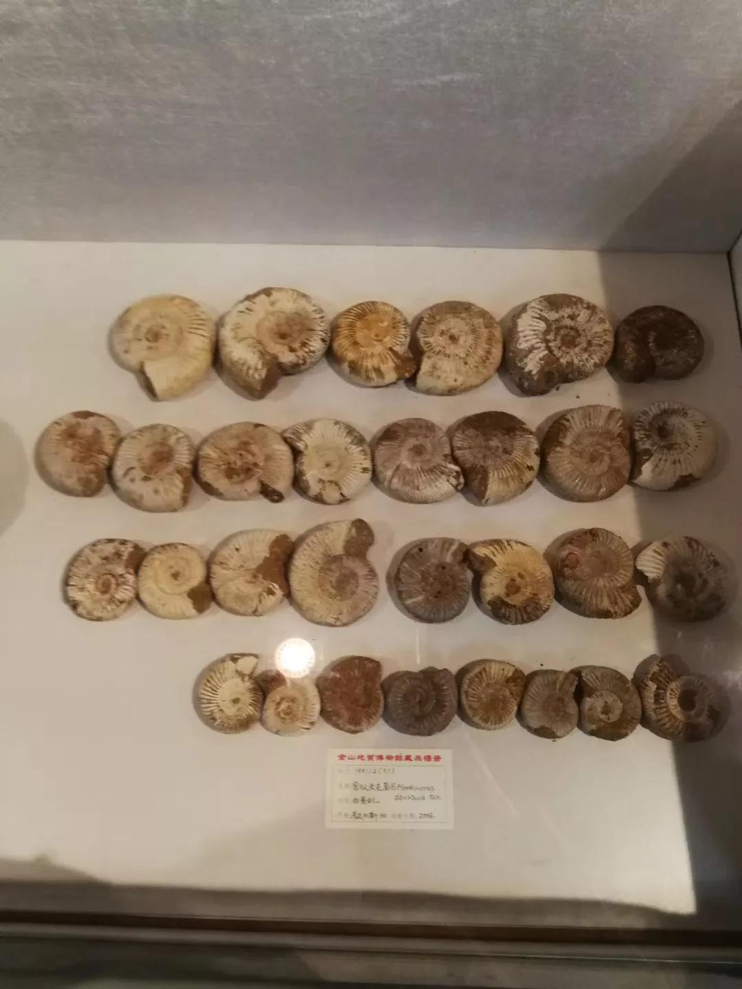 广州地铁3号线旅游攻略图,广州番禺广场地铁站旅游攻略