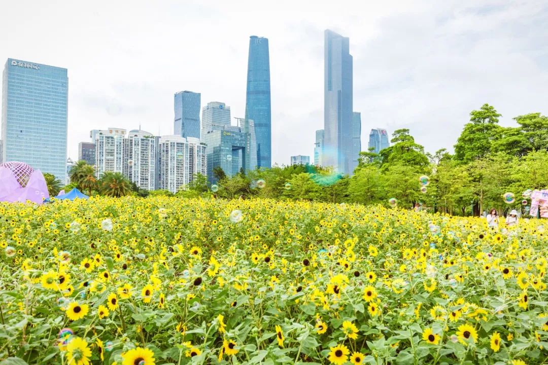 必打卡的宝藏公园,这些宝藏打卡地分分钟让人美到