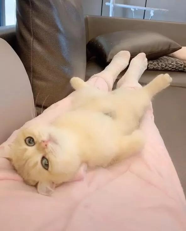 好看又舒适的慵懒风家居服,出门要有品位穿什么