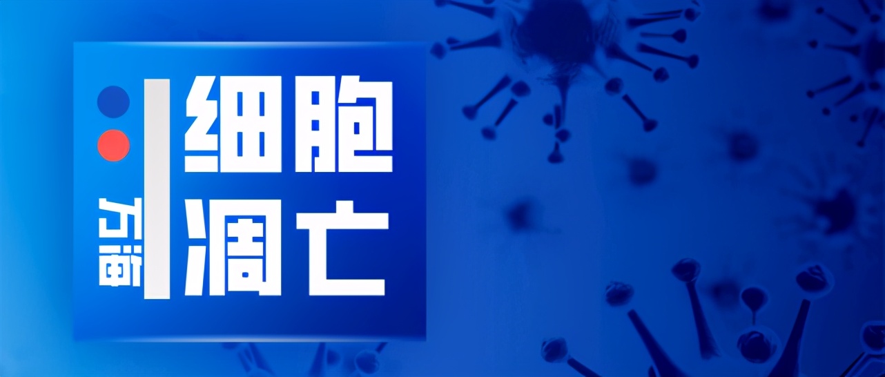 身体细胞死亡后怎么处理,人体怎么清除衰老细胞