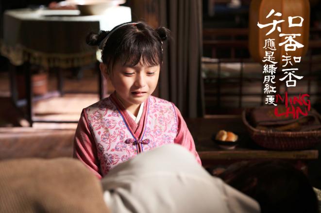 大热ip电视剧,大热ip剧古装网剧