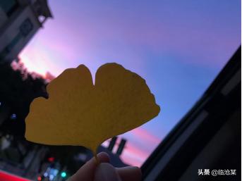 给男友的每日一封信,写给未来的男友一封信