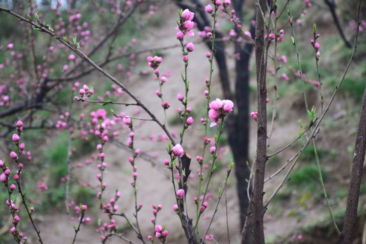 陕西印象装饰有限公司,陕西印象传媒怎么样