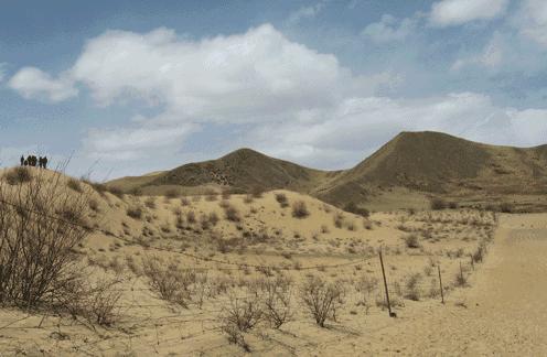 世界环境日我们该怎么做,世界环境日守护环境沃来当先