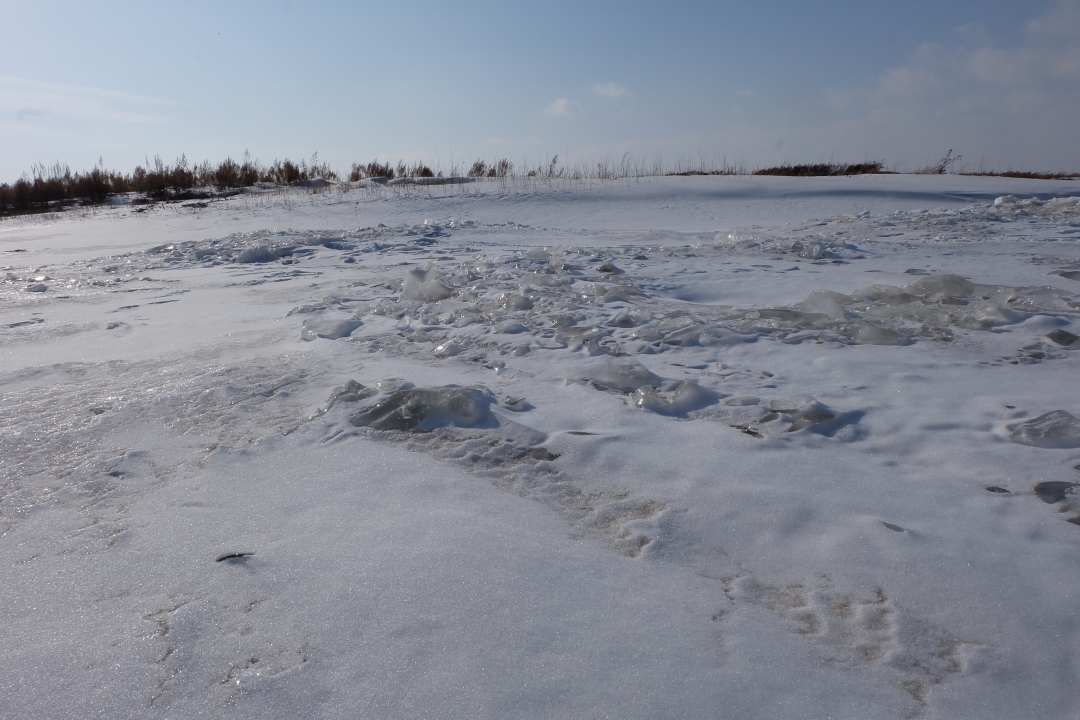 元宵节忆已故亲人,元宵节思念过去诗