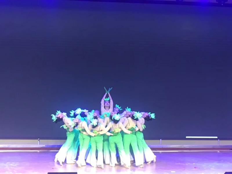 以“特”育人点亮出彩人生——解锁郑州市第二十九中学的致胜密码