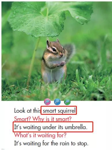 与课标话题动物(Animals)相关的英语绘本,学习重点词汇语法