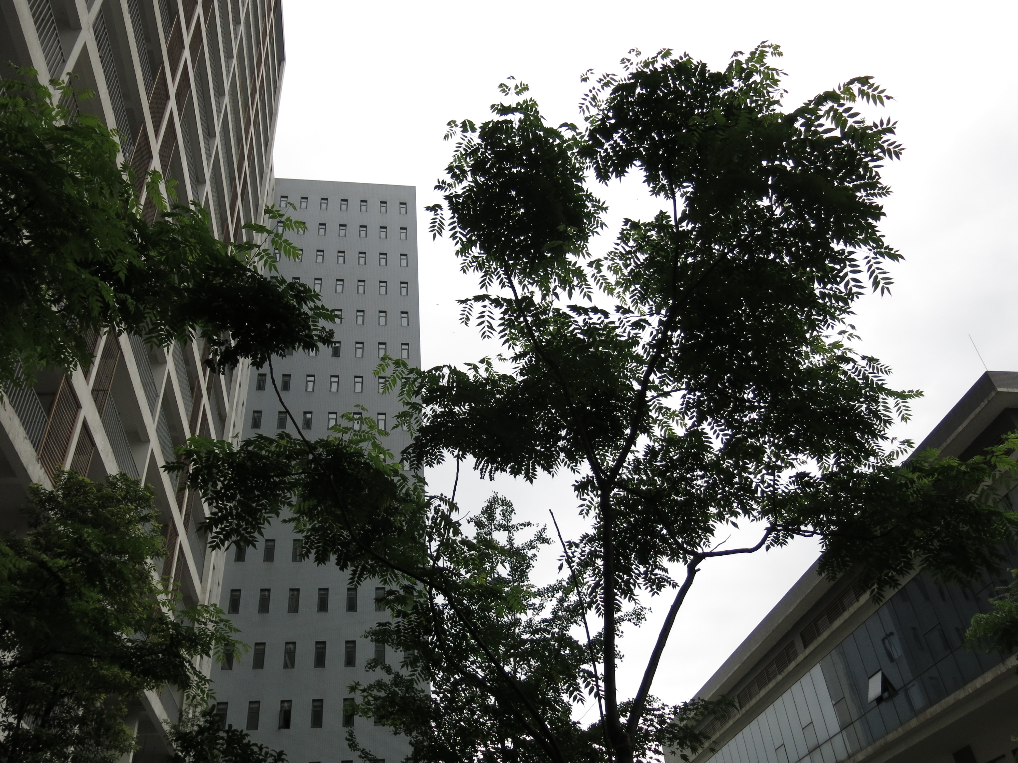 天马微电子厂真实工资,那些年你进过的公司