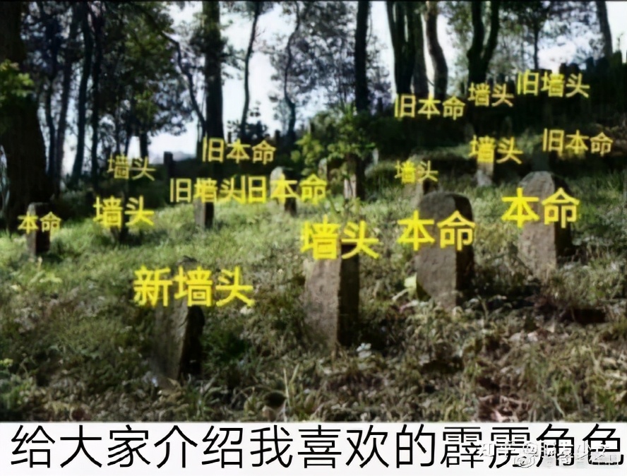 “指环王”凉了？流行文化8大“冷圈”用户画像，看看有没有你？