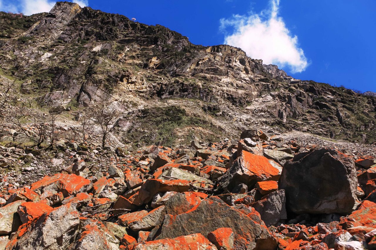 从高山之巅到深海之渊,流石滩徒步攻略