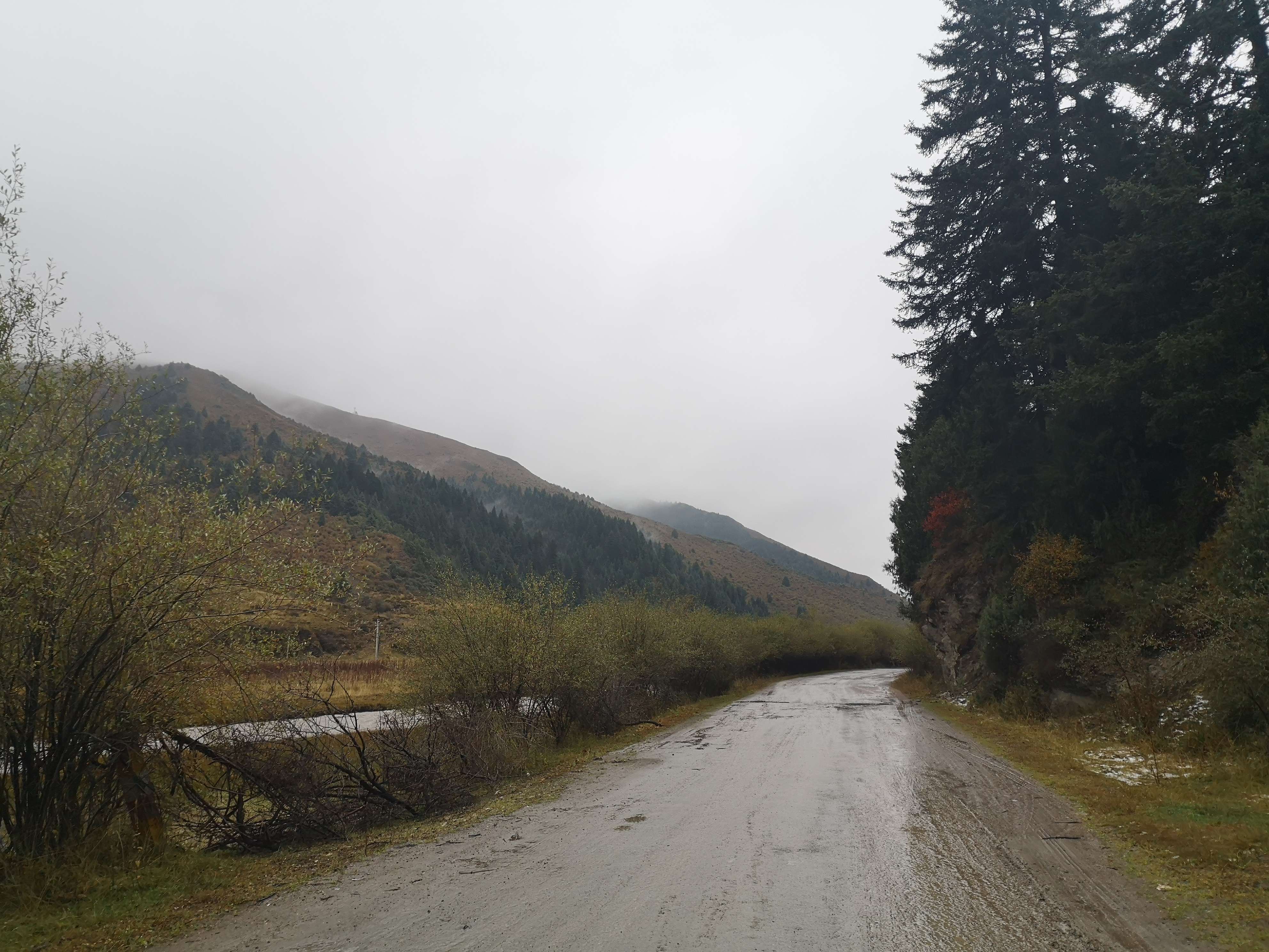 则岔石林游记,尕海湖和则岔石林