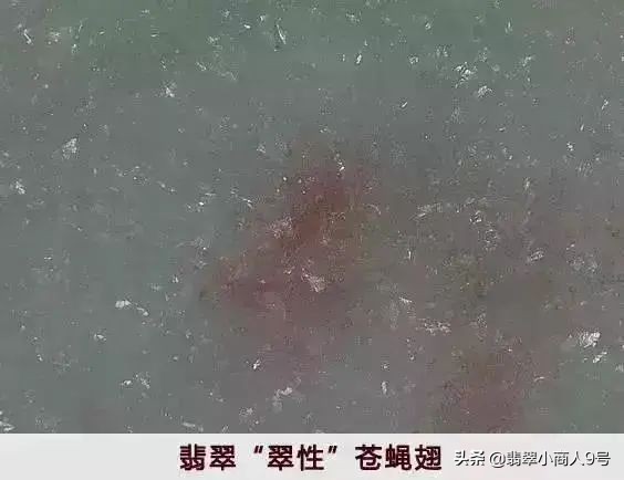 翡翠苍蝇翅原石表现,翡翠的苍蝇翅是啥样的啊